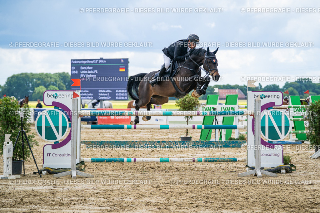 DSC06234 | Pferdegrafie