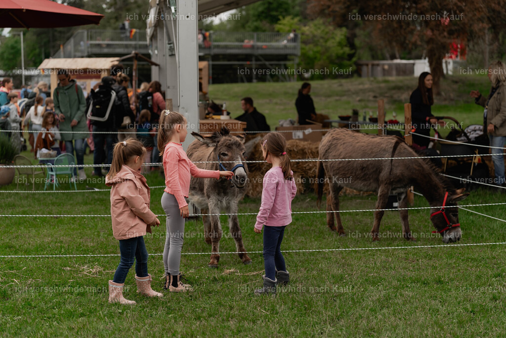 Showprogramm-182 | working equitationturnier fotograf videograf stoibphotography marixx film working equitation deutschland reitsport turnierfotografie eventfotografie equestrian events