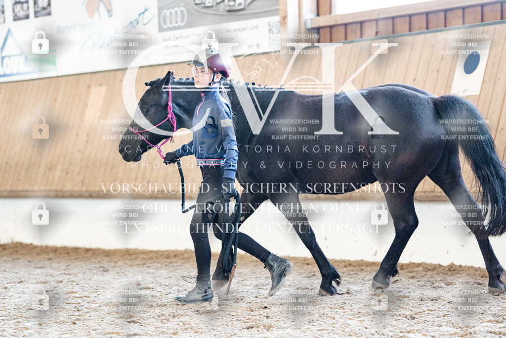 CK906811 | Turnierfotografie Pferdefotografie Trier Rheinland-Pfalz Pferdesport Reitsport Tierfotografie Sportfotografie Pferdevideo Pferdevideografie Equestrianvideography equestrianphotography  - Realisiert mit Pictrs.com