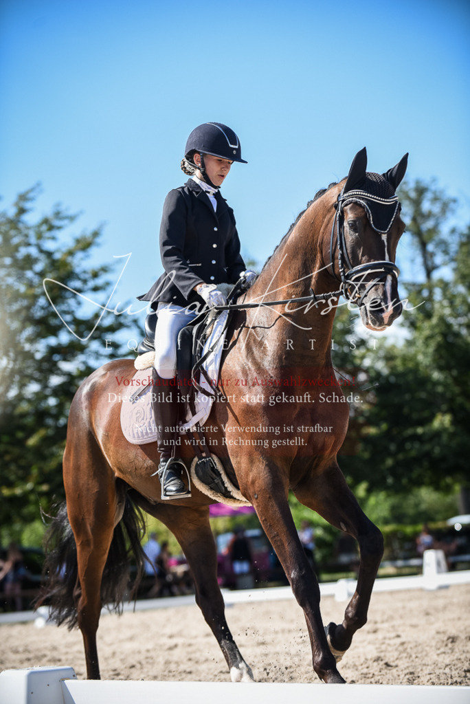 DSC_9612 | Pferde- und Turnierfotografie in Westsachsen. Pferdeportraits, Auftragszeichnungen und intuitive Kunst.