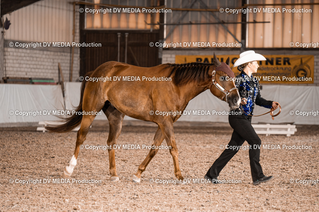 ZH200188 | dv-media-shop - Realisiert mit Pictrs.com