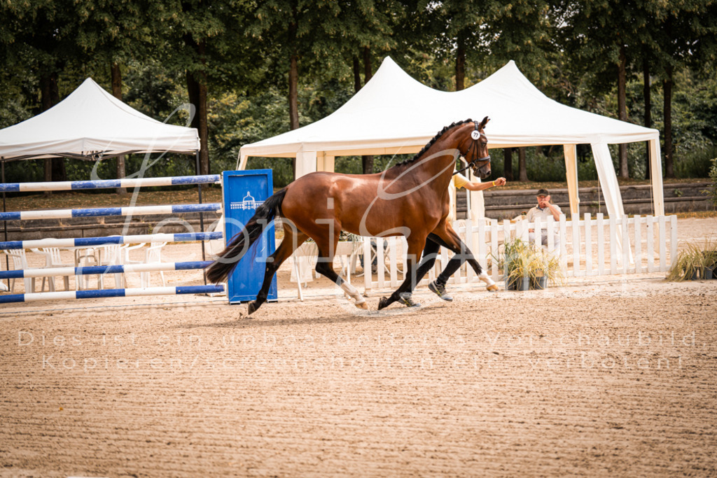 4.Fr00031 | Leoni Ertmer Photography - Realisiert mit Pictrs.com