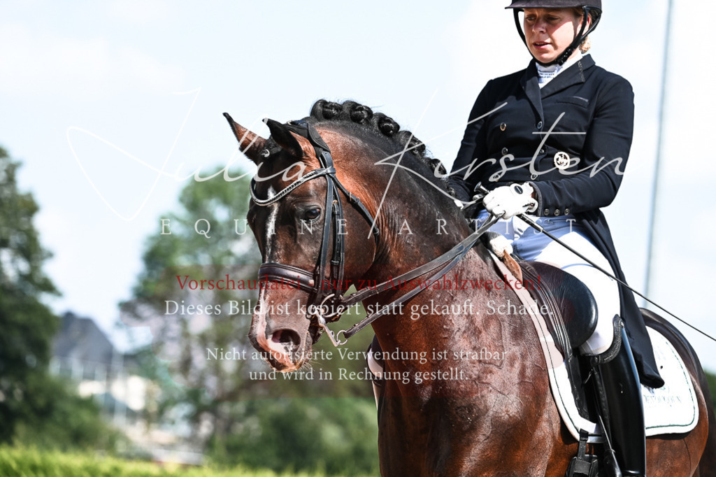 DSC_2926 | Pferde- und Turnierfotografie in Westsachsen. Pferdeportraits, Auftragszeichnungen und intuitive Kunst.