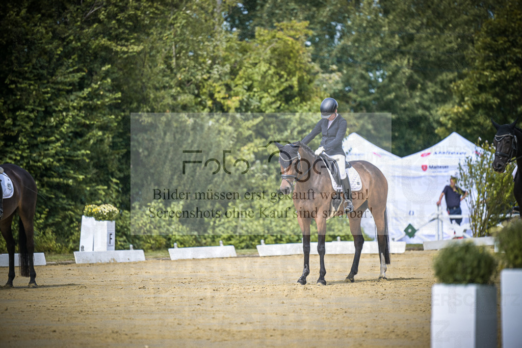 DOS_4797 | Entdecke hochwertige Reitturnierfotos von Foto Oger. Professionell, emotional und authentisch – jetzt Lieblingsmomente im Shop bestellen.Deutschlandweite Turnierfotografie. - Realisiert mit Pictrs.com