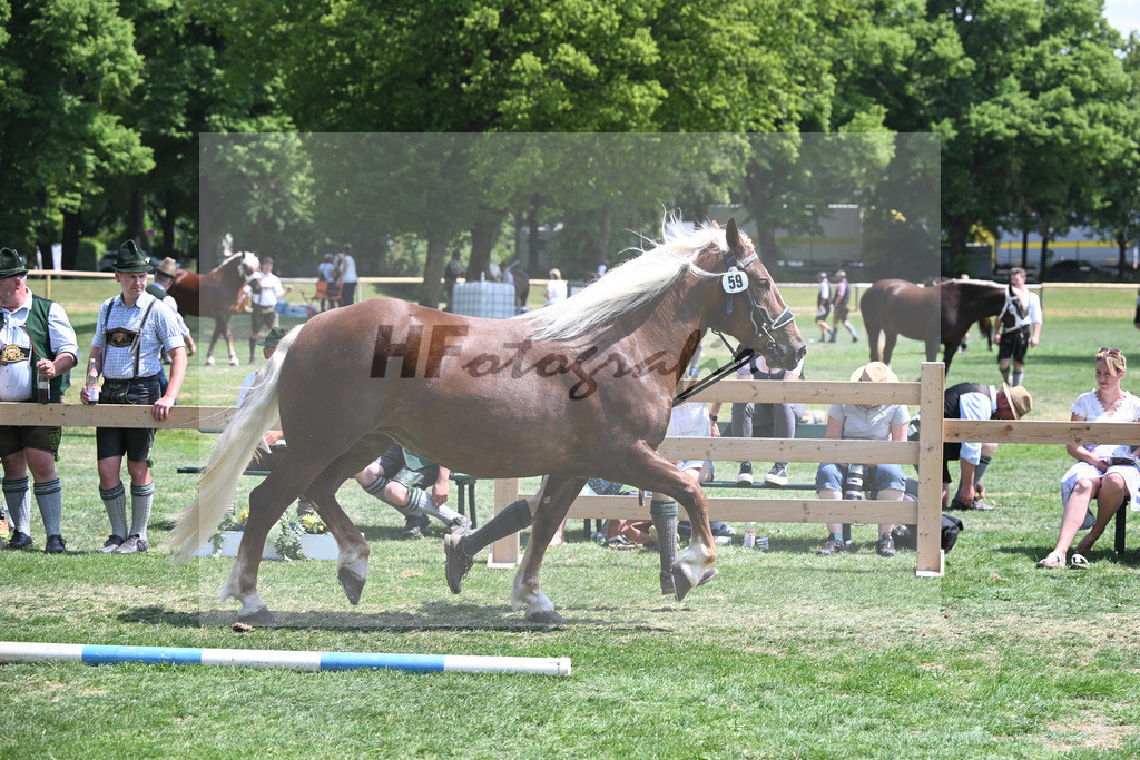 Kat-Nr. 59 Pamina_Mayr_20230971 | hf-fotografie - Realisiert mit Pictrs.com