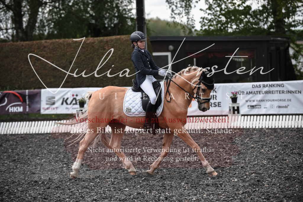 20230513_JK-Röhrsdorf-14-841 | Pferde- und Turnierfotografie in Westsachsen. Pferdeportraits, Auftragszeichnungen und intuitive Kunst.