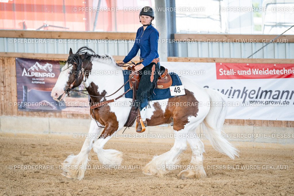 DSC03023 | Pferdegrafie