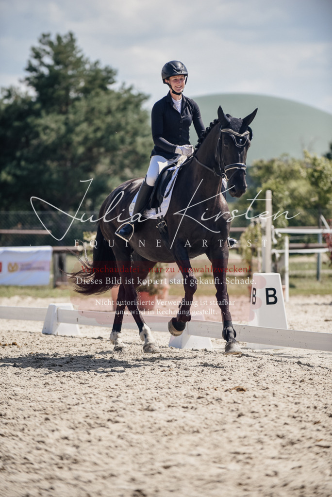 DSC_8823 | Pferde- und Turnierfotografie in Westsachsen. Pferdeportraits, Auftragszeichnungen und intuitive Kunst.