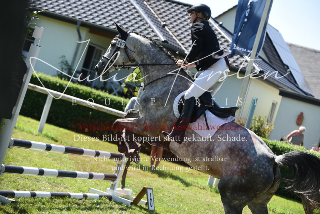 DSC_9529 | Pferde- und Turnierfotografie in Westsachsen. Pferdeportraits, Auftragszeichnungen und intuitive Kunst.