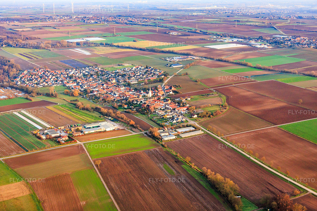 Luftbild: Ortsansicht von Westen in Freisbach im Bundesland Rheinland-Pfalz in Deutschland. Foto: IMG_152102.jpg vom 12.12.2025 durch Werner Riehm/FLY-FOTO.de