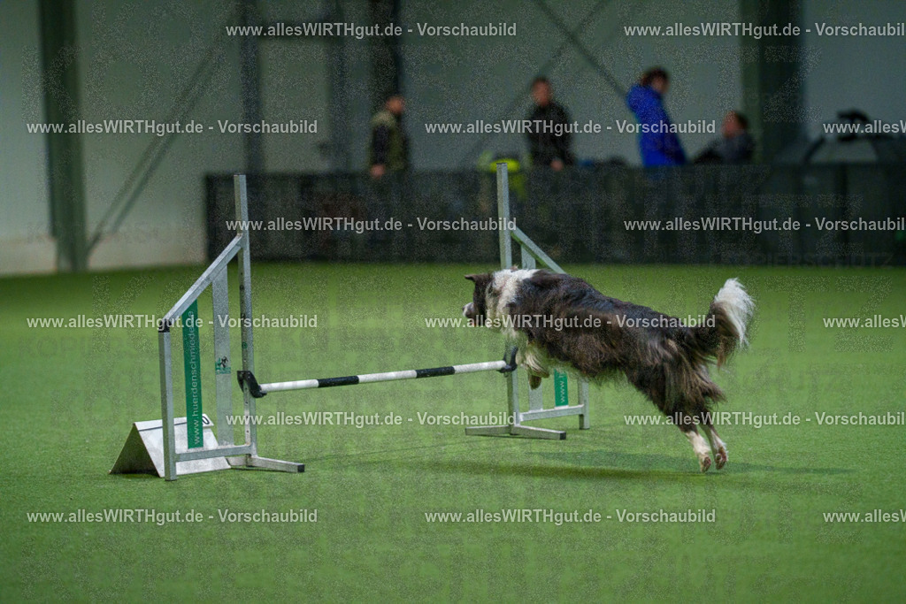 7R500276 | Professionelle Tierfotografie in Mönchengladbach von Daniel Wirth (allesWIRTHgut). Liebevolle & natürliche Bilder von Hunden & Katzen für unvergessliche Erinnerungen.