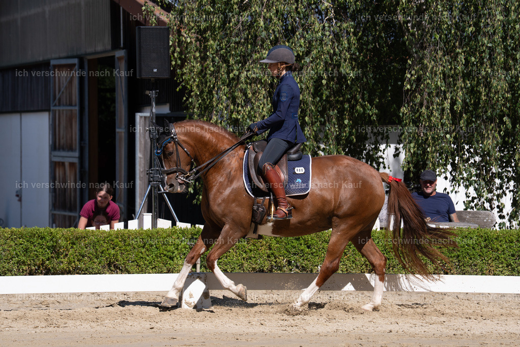 WL_DR_86_sinafilmart_IN06991 | working equitationturnier fotograf videograf stoibphotography marixx film working equitation deutschland reitsport turnierfotografie eventfotografie equestrian events