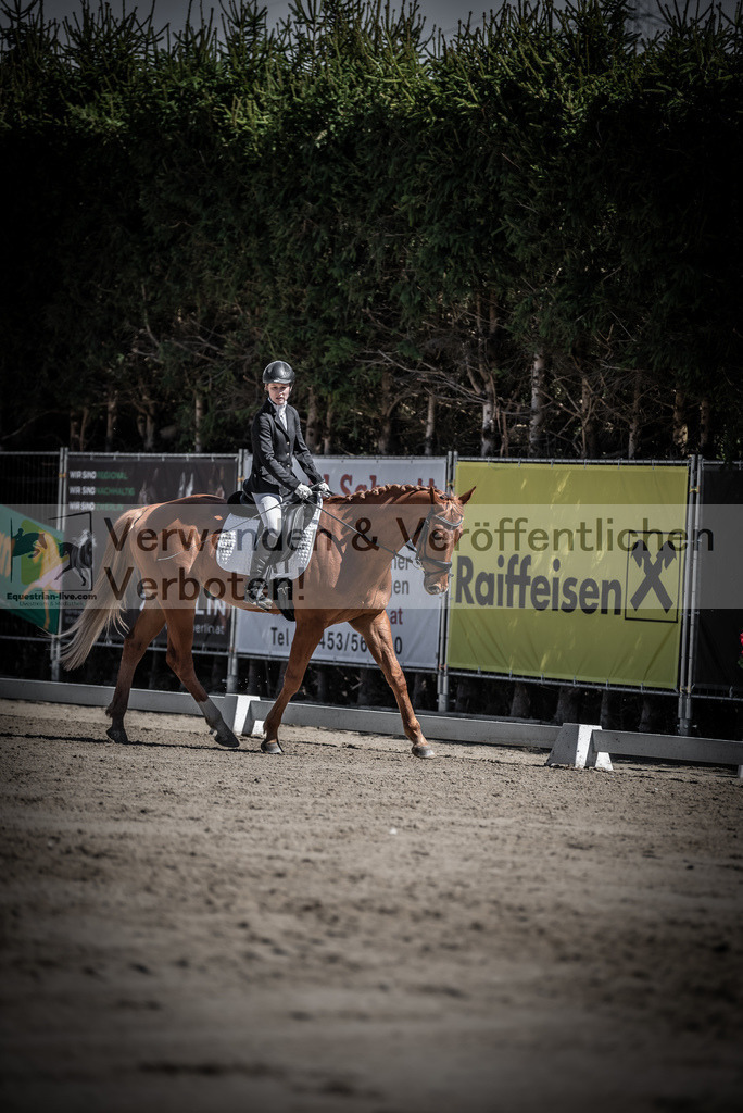 DSC_0049 | equestrian-live-com