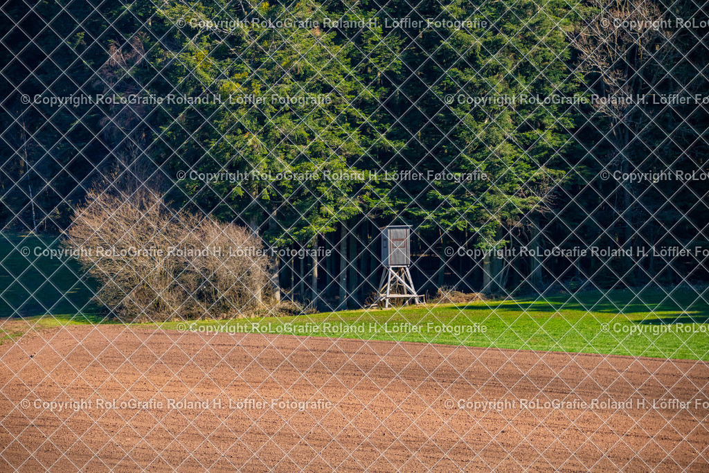 Landschaft-01 | Hochsitz am Waldrand - Realisiert mit Pictrs.com