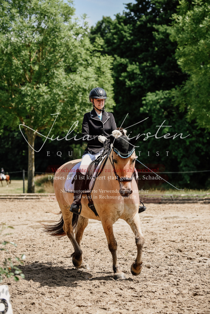 DSC_1668 | Pferde- und Turnierfotografie in Westsachsen. Pferdeportraits, Auftragszeichnungen und intuitive Kunst.