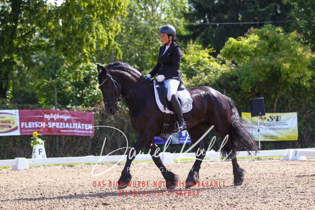 DKP42871 | Turnierfotos kaufen im Webshop von Daniel Kuhl Photography – entdecke professionelle Reitsportfotos aus Turnieren & Events. Hochwertige Turnierbilder online bestellen & sichern. Jetzt Fotos von Reitsportturnieren kaufen!