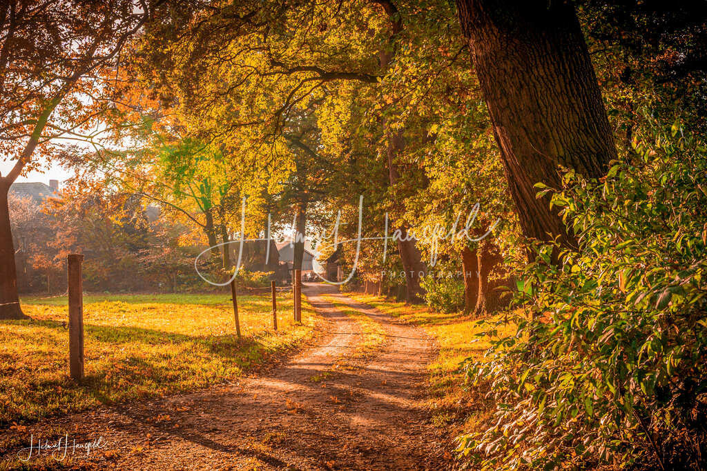 DSC00524 | Landschaftsfotografie, Naturfotografie - Realisiert mit Pictrs.com