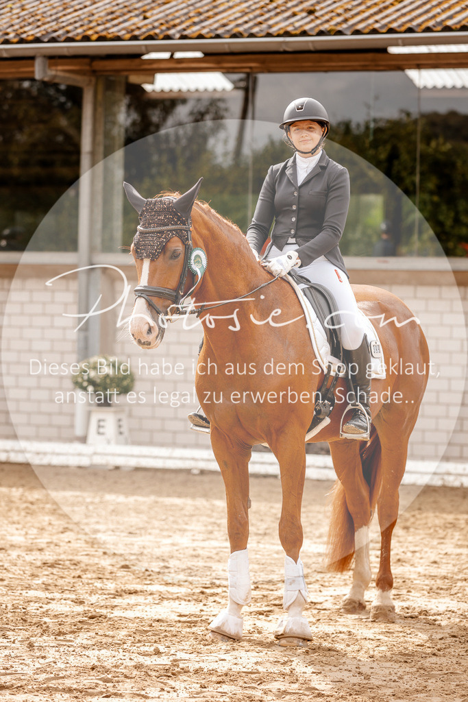 3I6A7630 | Stimmungsvolle Portraits und Reitsportfotografie im Ruhrgebiet und im Münsterland.

Pferdefotografie, Hundefotografie, Tierfotografie, Reportagen, Portraits von Tier und Mensch, Turnierfotografie in Bochum, Recklinghausen, Marl, Haltern am See, Dülmen.. - Realisiert mit Pictrs.com