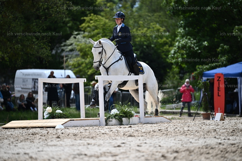 PI26_SP_Sara_Landvogt_226_5859.JPG | working equitationturnier fotograf videograf stoibphotography marixx film working equitation deutschland reitsport turnierfotografie eventfotografie equestrian events