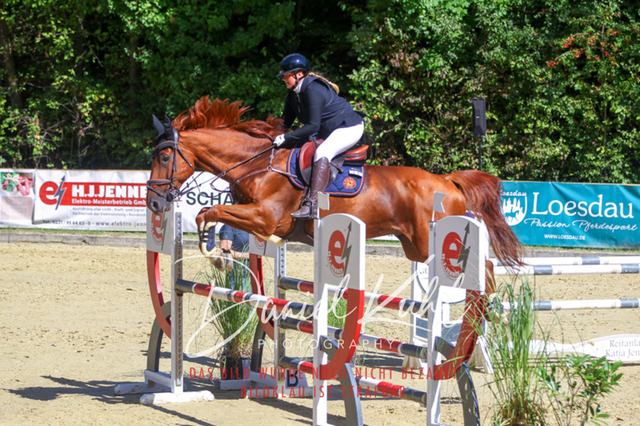 DKP43185 | Deine Turnierfotos vom Reitturnier online kaufen: Dressur, Springen & Siegerehrung. Professionelle Pferdefotografie aus dem Rheinland – als Download & Print.Alternative: Turnierfotograf für den Pferdesport: Finde deine Fotos von Dressur- und Springturnier