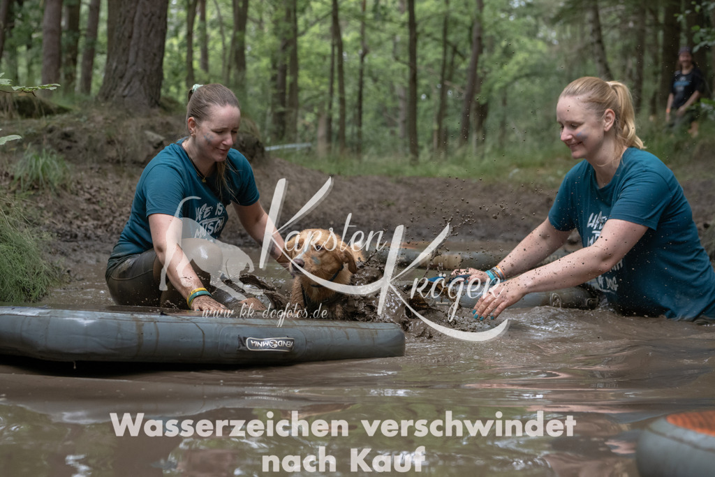 1347_ZZ96007 | kk-dogfotos