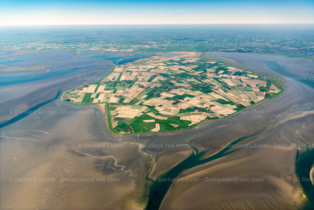 3801586 | Pellworm, Nationalpark Schleswig-Holsteinisches Wattenmeer