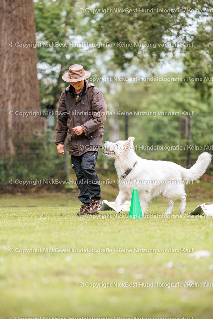 RO-Blumenthal-2026-Nickbest-Hundefotografie-2011 | Dein Hund! Dein Moment! Deine Erinnerungen! Hundefotografie in Bremen Blumenthal. Ich fange die besonderen Momente deines Vierbeiners ein – ob Indoor mit Blitzanlage oder in der freien Natur. Sicher dir dein Moment und dein Termin für eure Erinnerungen.