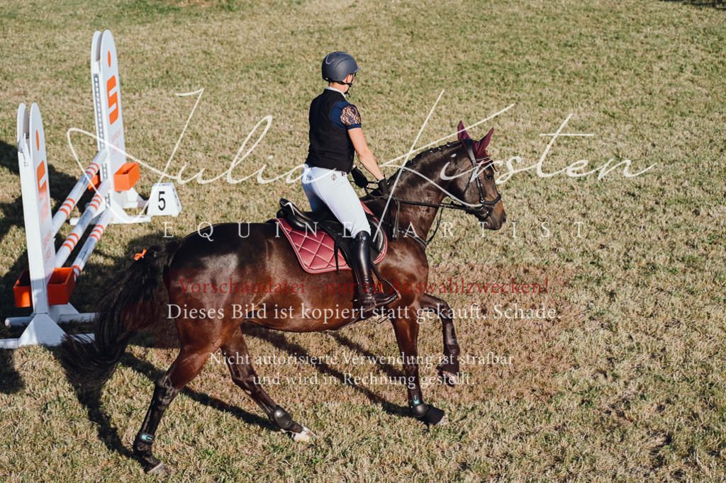 DSC_3230 | Pferde- und Turnierfotografie in Westsachsen. Pferdeportraits, Auftragszeichnungen und intuitive Kunst.