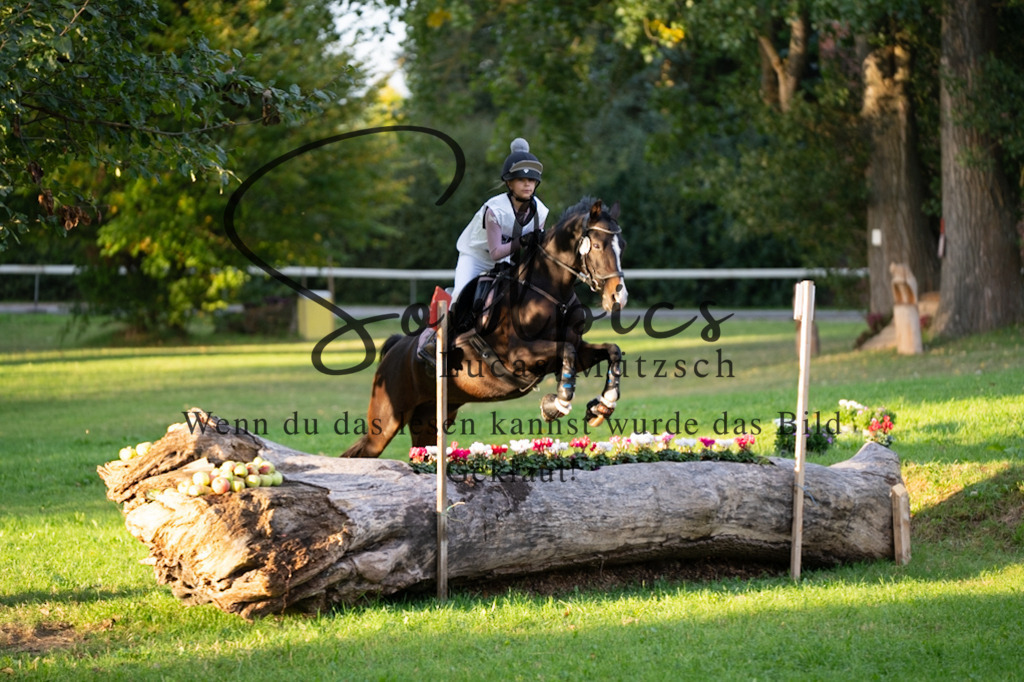 A7V02821 | Pferdefotograf