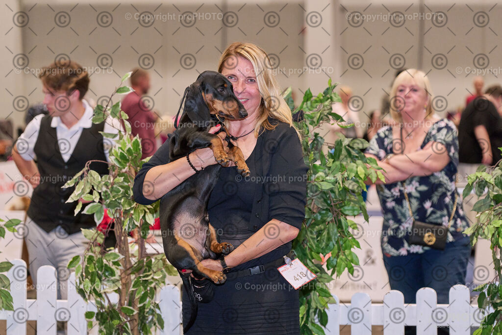 202406_ÖKV-IHA-Tulln24_NZ9_7840 | proPHOTO - Realisiert mit Pictrs.com