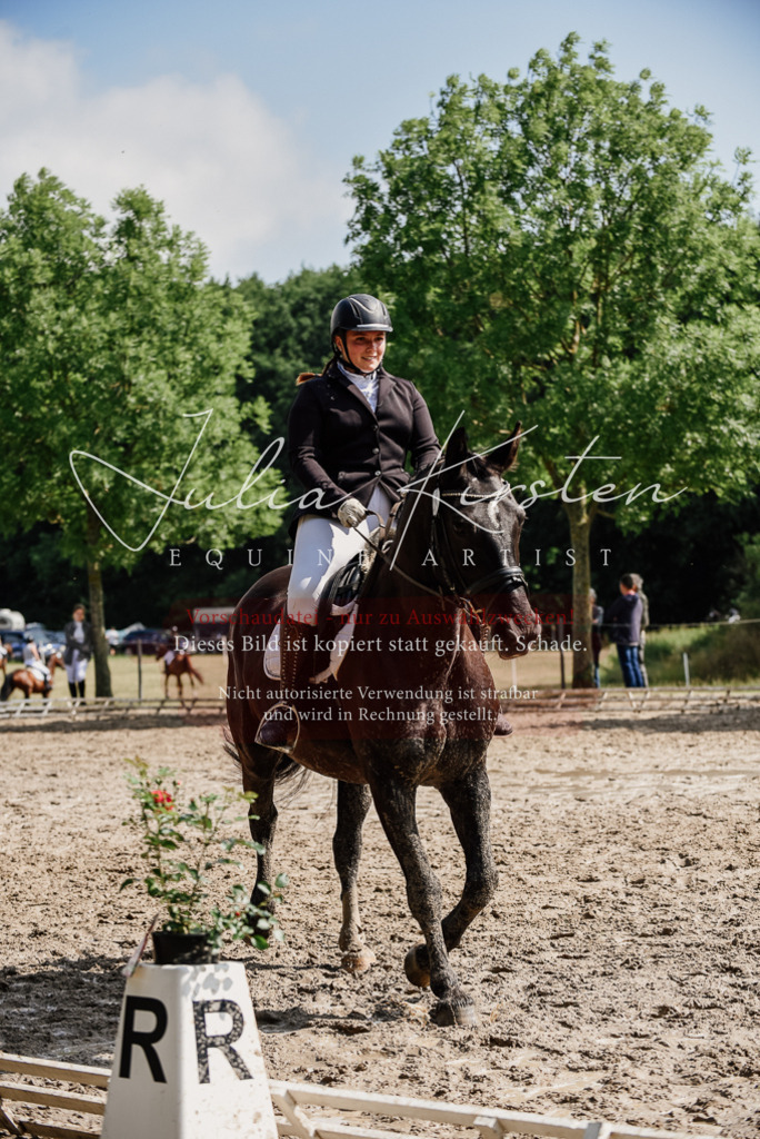 DSC_0211 | Pferde- und Turnierfotografie in Westsachsen. Pferdeportraits, Auftragszeichnungen und intuitive Kunst.