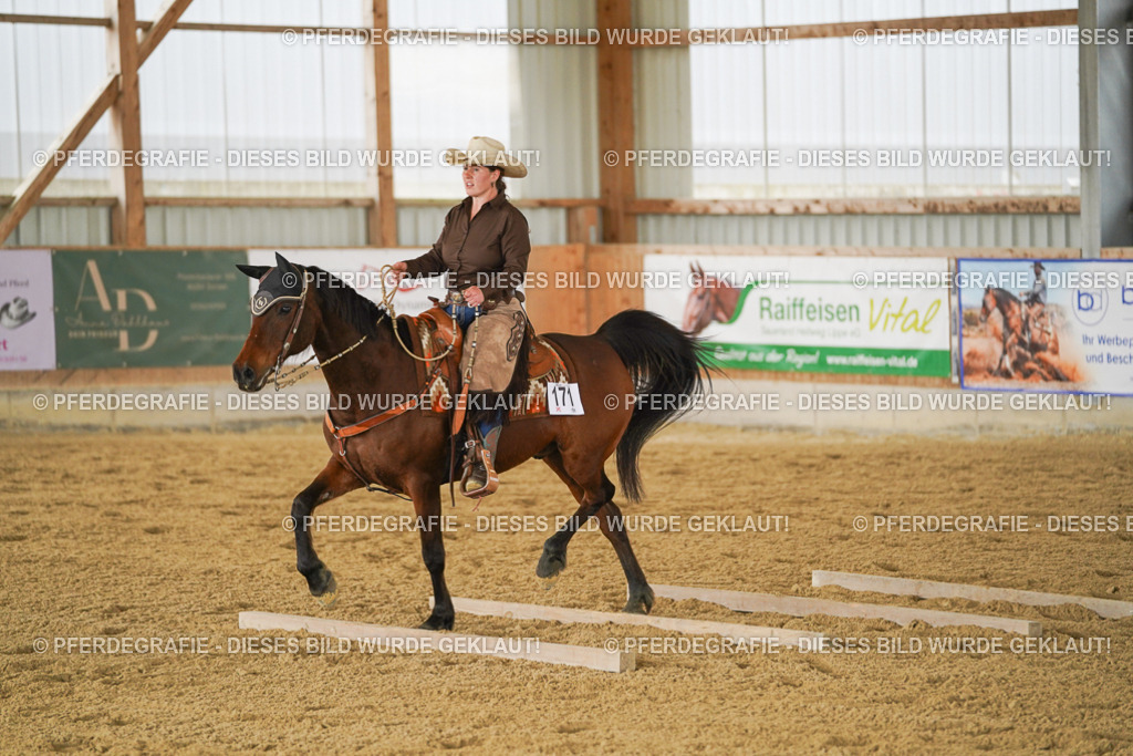 DSC04392 | Pferdegrafie