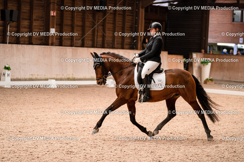 Dressur Tag 2-333 | dv-media-shop - Realisiert mit Pictrs.com