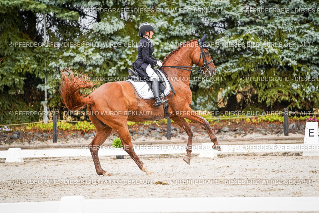 DSC09584 | Pferdegrafie