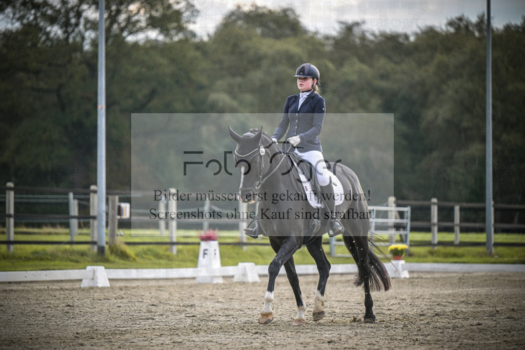 DOS_2800 | Entdecke hochwertige Reitturnierfotos von Foto Oger. Professionell, emotional und authentisch – jetzt Lieblingsmomente im Shop bestellen.Deutschlandweite Turnierfotografie. - Realisiert mit Pictrs.com
