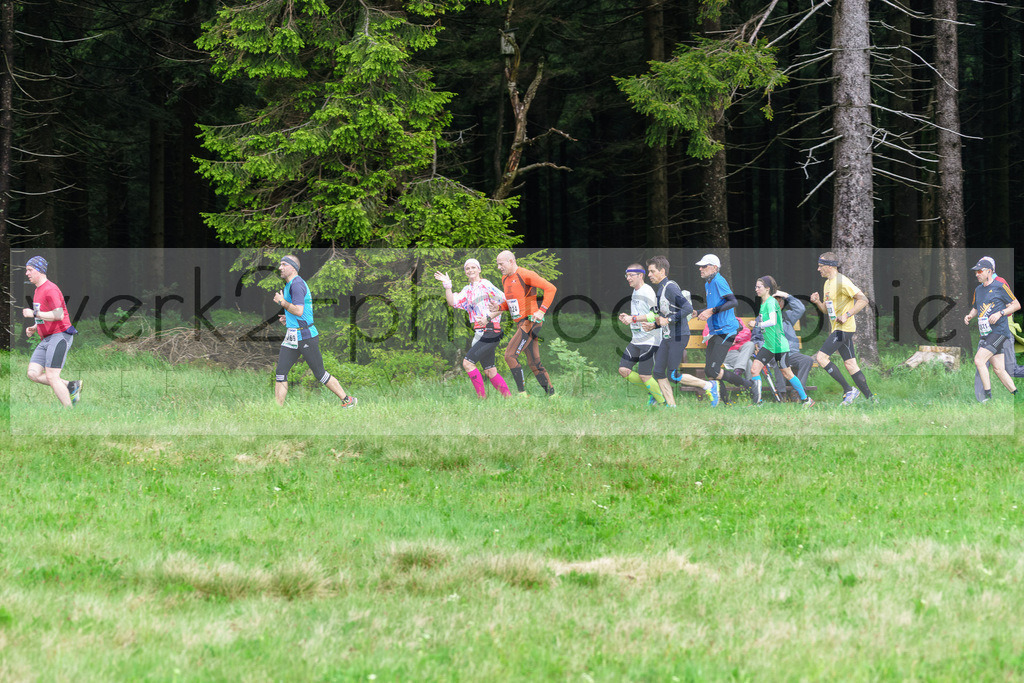 Rennsteiglauf 2017 | Neuhaus/Rwg. - Schmiedefeld am 19. Mai 2017