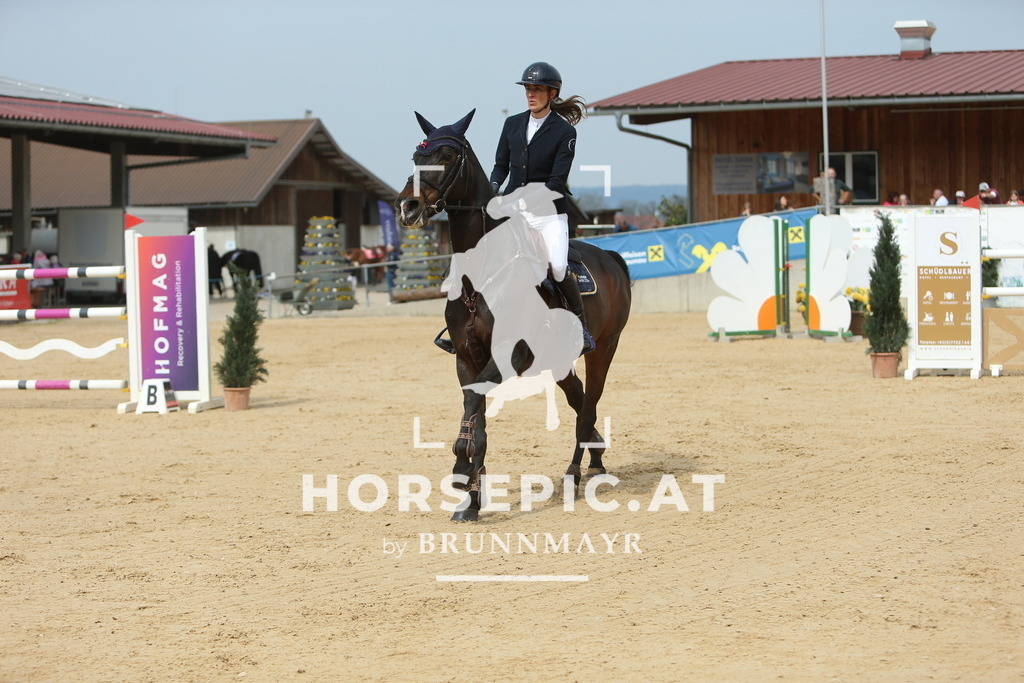 DL2Q2506 | Willkommen bei Brunnmayr - Design & Fotografie – Ihrem Spezialisten für Reitturniere und Pferdeveranstaltungen in Oberösterreich, Salzburg und Bayern! Seit über 17 Jahren sind wir leidenschaftlich dabei.