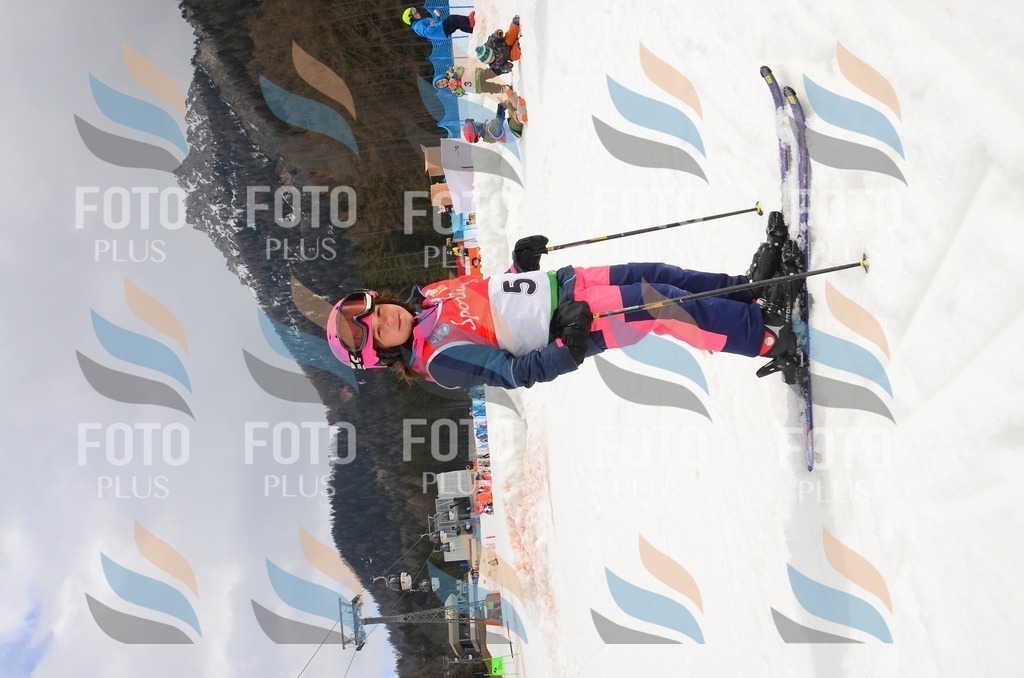 C1316 | holidayphoto