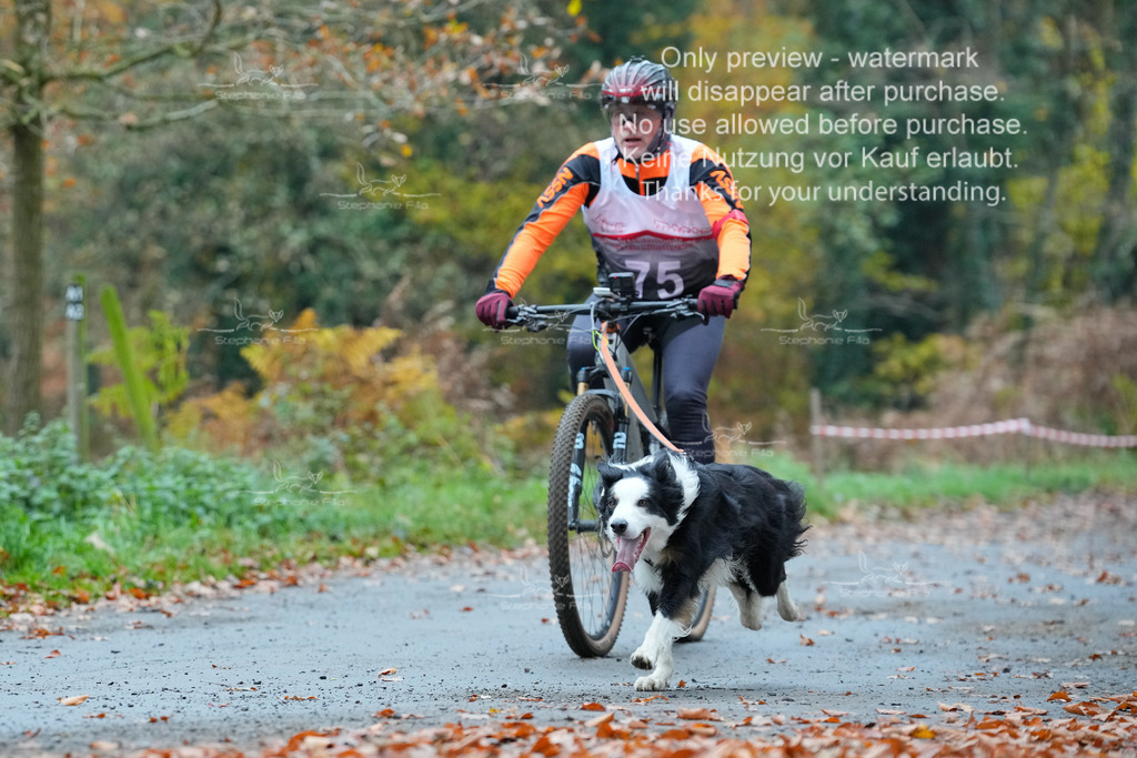 Bike_So-65 | stephaniefillaphotographie - Realisiert mit Pictrs.com