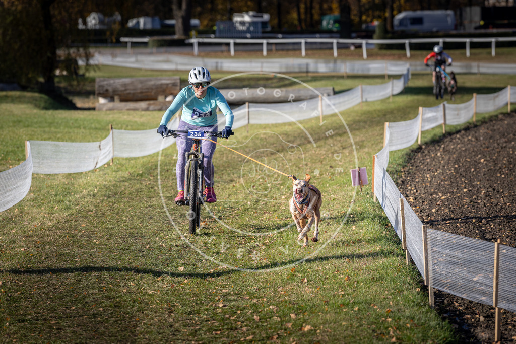 CaniXpix_DV3A4027 | Hundefotografie, Tierfotograf, Pfotenfotografie, Fotoshooting Hund, Hunde Portrait, Hundesport, Hundeportraits, Heideshooting, Hunde, Sportfotograf, Hundefotograf, Turnierhundsport, THS,  - Realisiert mit Pictrs.com