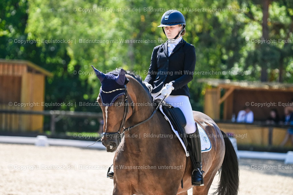 20230908_06_Dressur-L-Trense_0398 | equistock