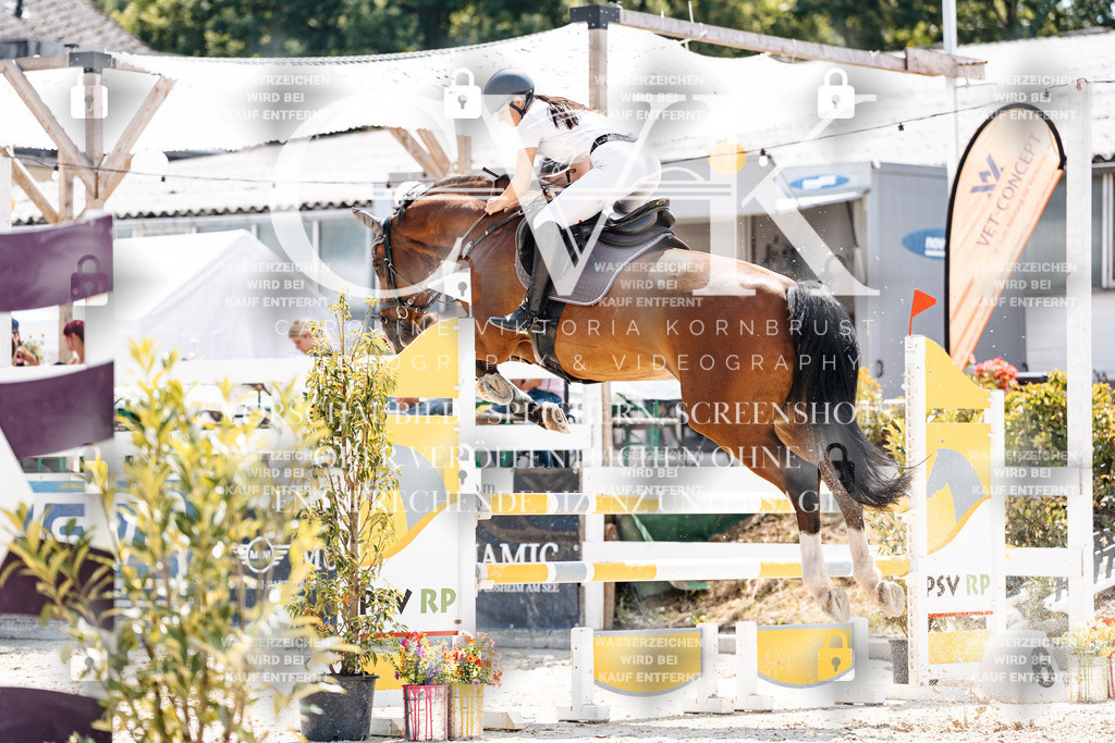 CK908080 | Turnierfotografie Pferdefotografie Trier Rheinland-Pfalz Pferdesport Reitsport Tierfotografie Sportfotografie Pferdevideo Pferdevideografie Equestrianvideography equestrianphotography  - Realisiert mit Pictrs.com