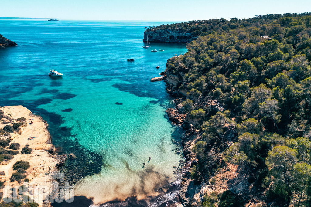 PS-Mallorca-2026-28 | Entdecke die größte Bildgalerie der Region mit Fotografien aus dem Allgäu, der Bodenseeregion, Oberschwaben, dem Donautal und der Schwäbischen Alb. Landschaften, Luftaufnahmen und Reisefotografie als Wandbild und Fotokunst. - Realisiert mit Pictrs.com