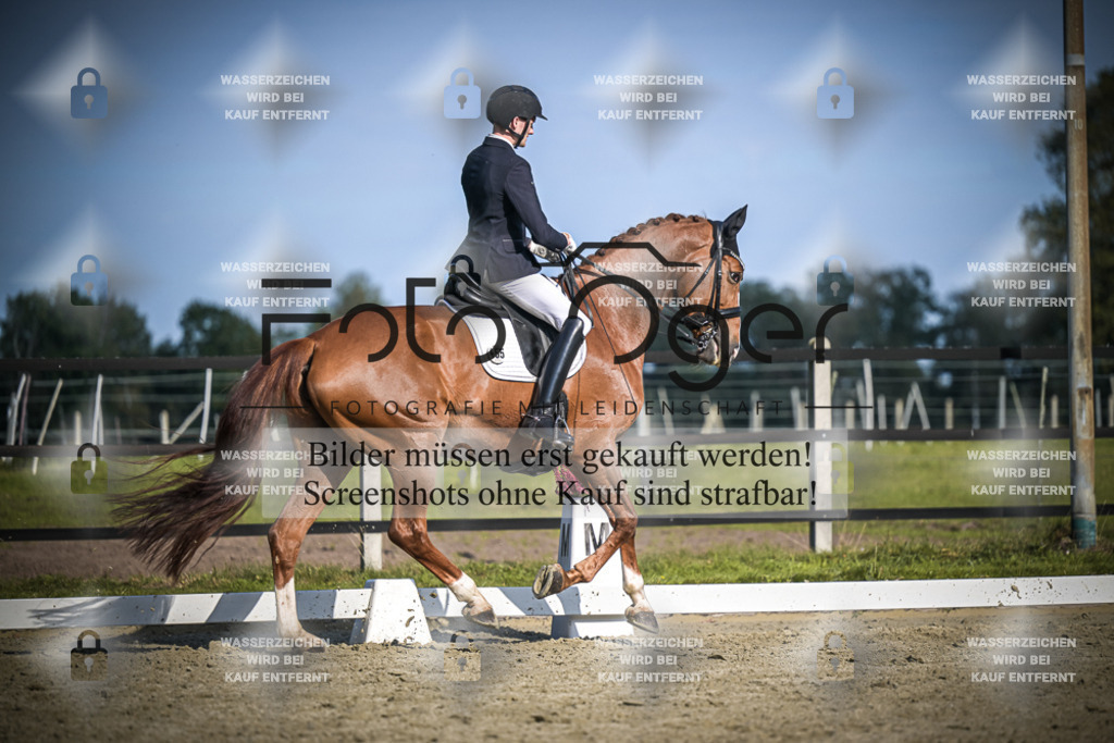 DOS_3510 | Entdecke hochwertige Reitturnierfotos von Foto Oger. Professionell, emotional und authentisch – jetzt Lieblingsmomente im Shop bestellen.Deutschlandweite Turnierfotografie. - Realisiert mit Pictrs.com