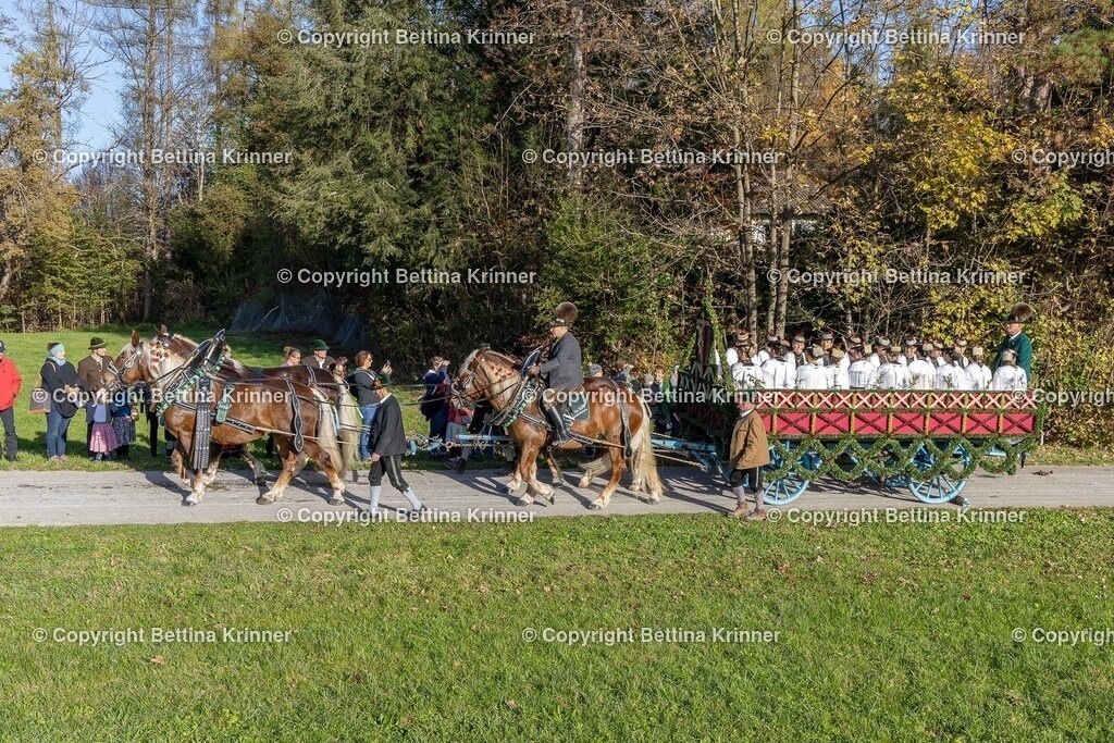 LBT24-247 | foto-bettina-krinner - Realisiert mit Pictrs.com