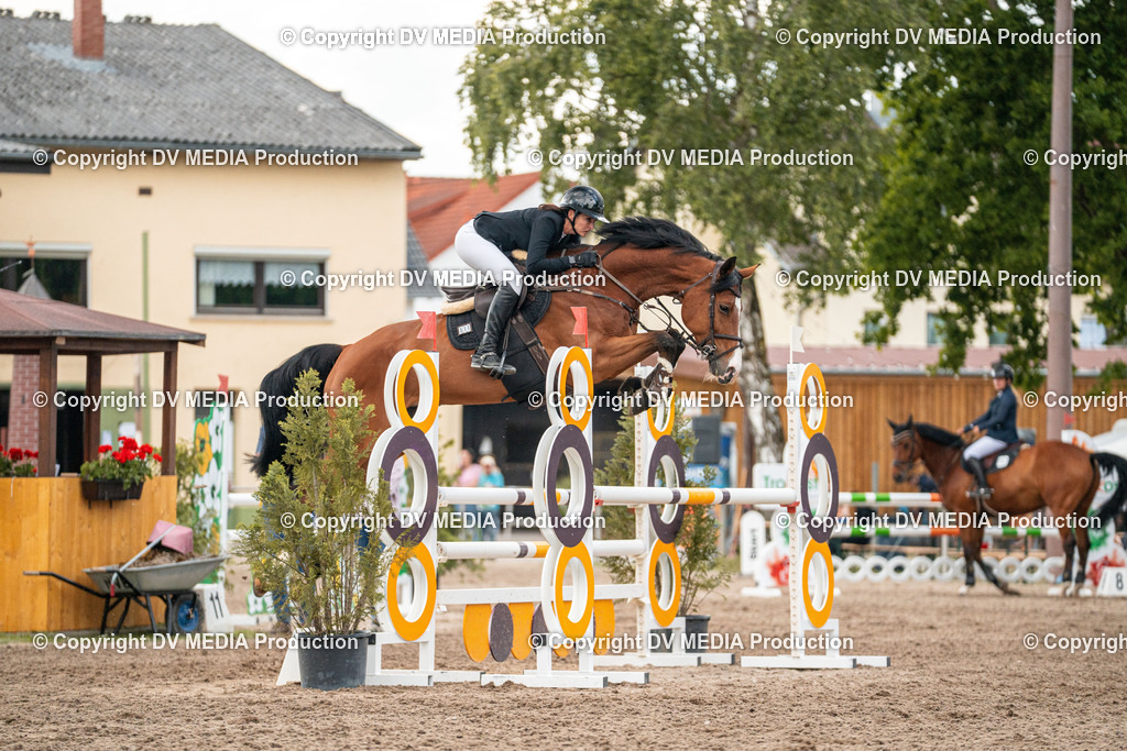 Eppelheim Tag 1-586 | dv-media-shop - Realisiert mit Pictrs.com