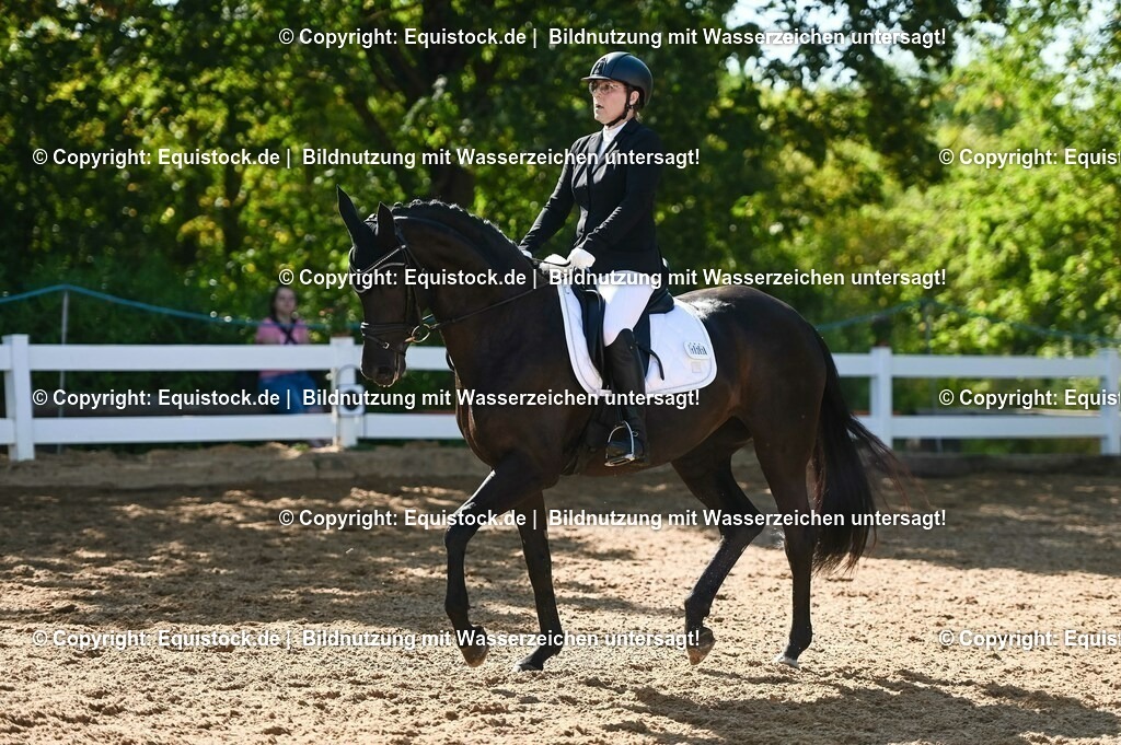 20230715_06_Dressurpferdeprfg. Kl.A_0328 | equistock