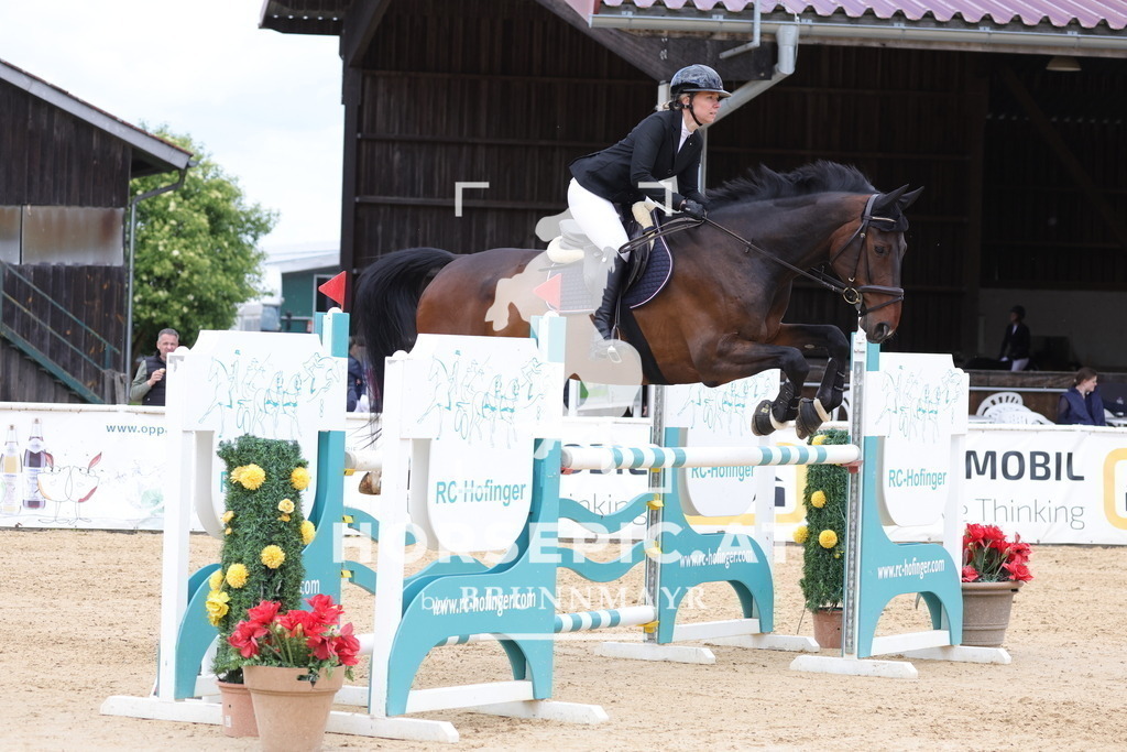 0P6A7555 | Willkommen bei Brunnmayr - Design & Fotografie – Ihrem Spezialisten für Reitturniere und Pferdeveranstaltungen in Oberösterreich, Salzburg und Bayern! Seit über 17 Jahren sind wir leidenschaftlich dabei.