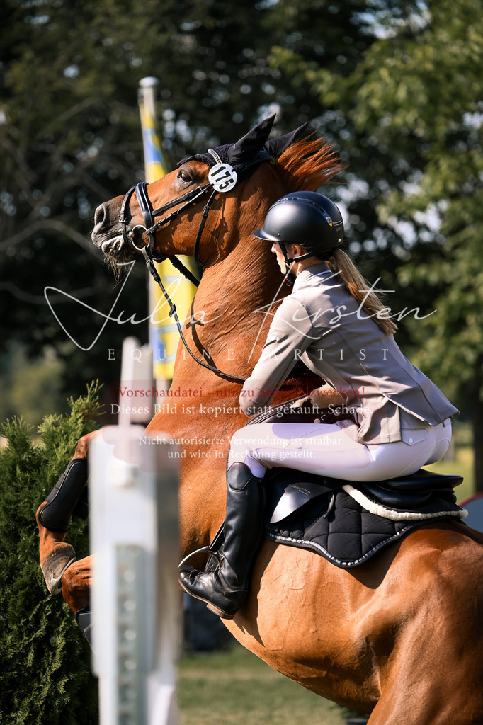 DSC_1278 | Pferde- und Turnierfotografie in Westsachsen. Pferdeportraits, Auftragszeichnungen und intuitive Kunst.