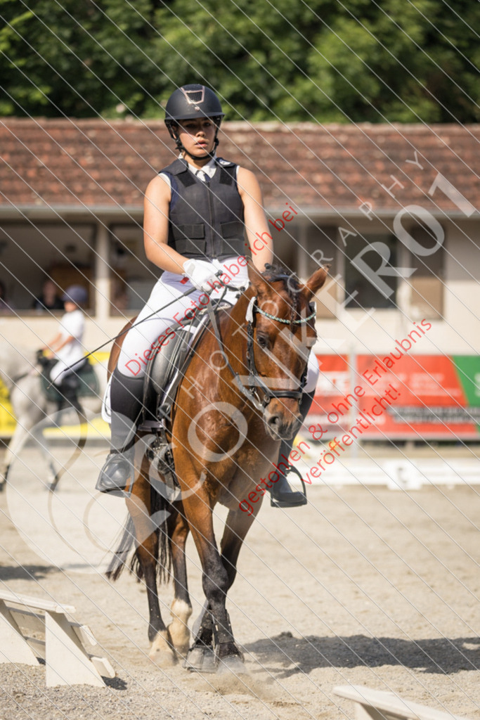 IMG_5936 | Sport-, Event- und Tierfotos in Profiqualität. Einfach auswählen, bestellen und herunterladen. Dein Moment – perfekt festgehalten.